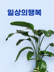 일상의행복